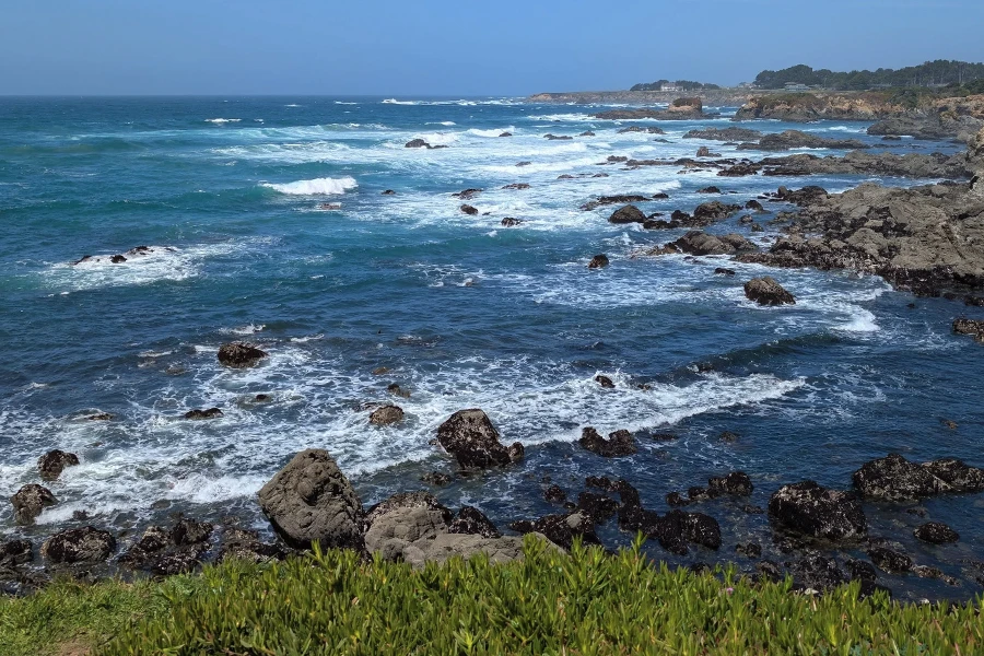 The Northern California coast in Mendocino County