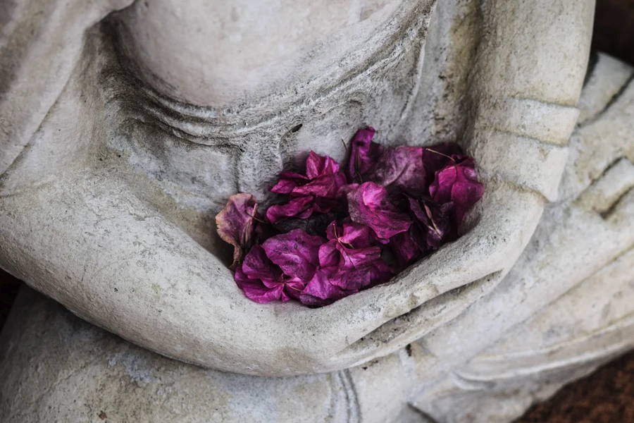 A hand resting gently over the chest, attuned to an inner sensation