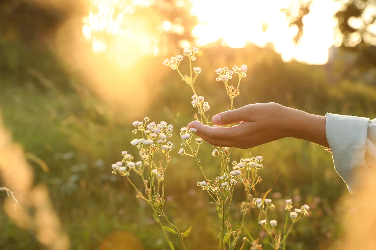 A quiet, embodied moment representing somatic psychotherapy